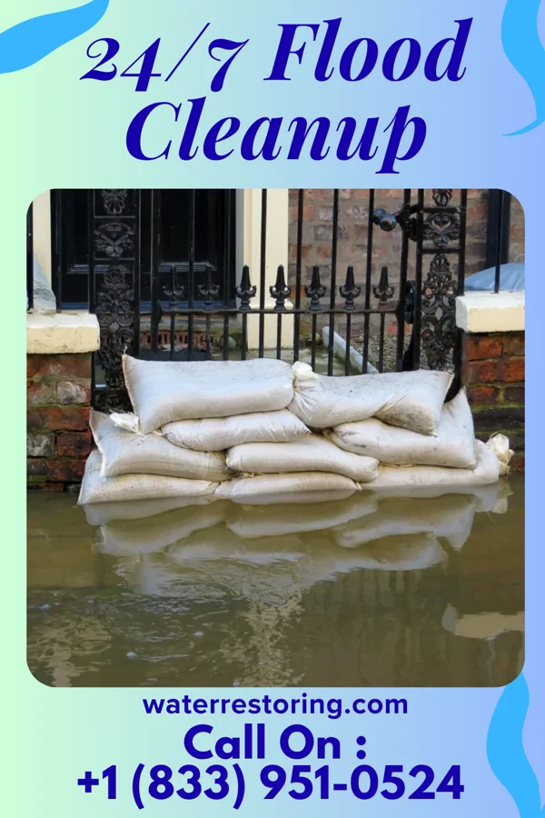 24/7 Flood Cleanup in Dudley, GA