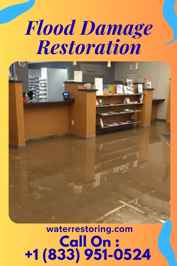 Flood Damage Restoration in Dudley, GA