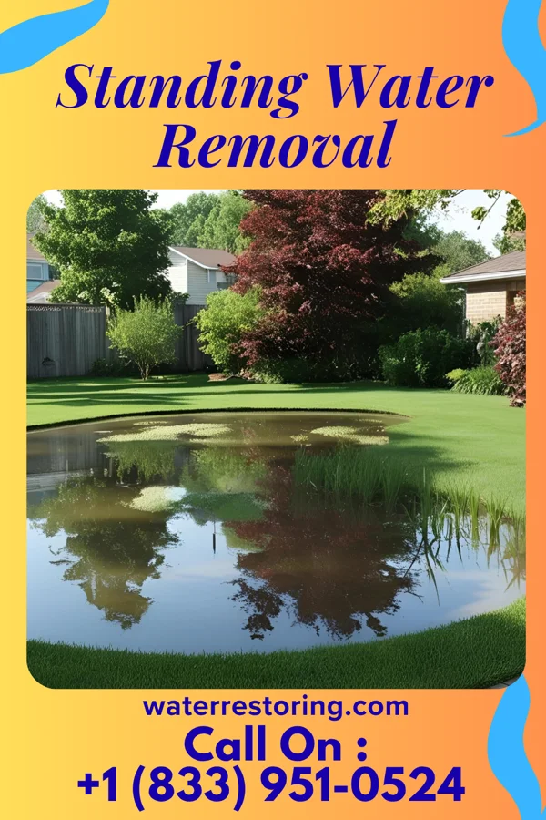 Standing Water Removal in Dudley, GA